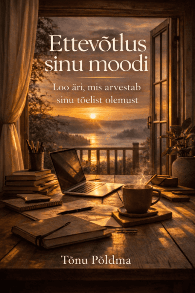 E-raamat: Ettevõtlus sinu moodi