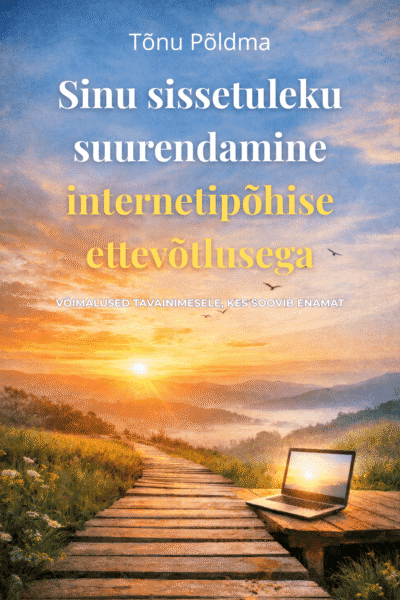 E-raamat: Sinu sissetuleku suurendamine internetipõhise ettevõtlusega